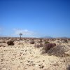 Fuerteventura-Landschaft (3)
